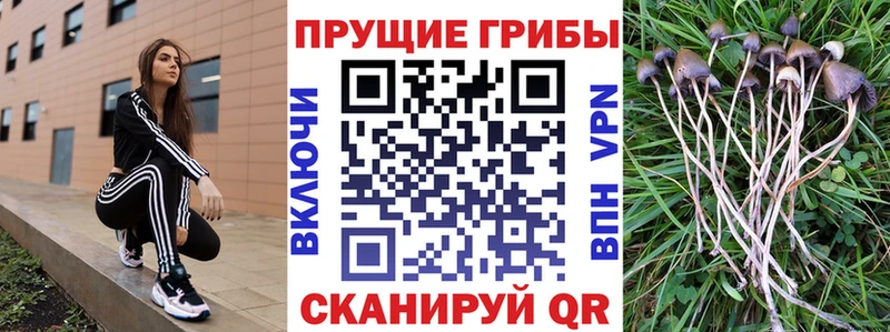 что такое наркотик Лебедянь hydra зеркало Галлюциногенные грибы GOLDEN TEACHER